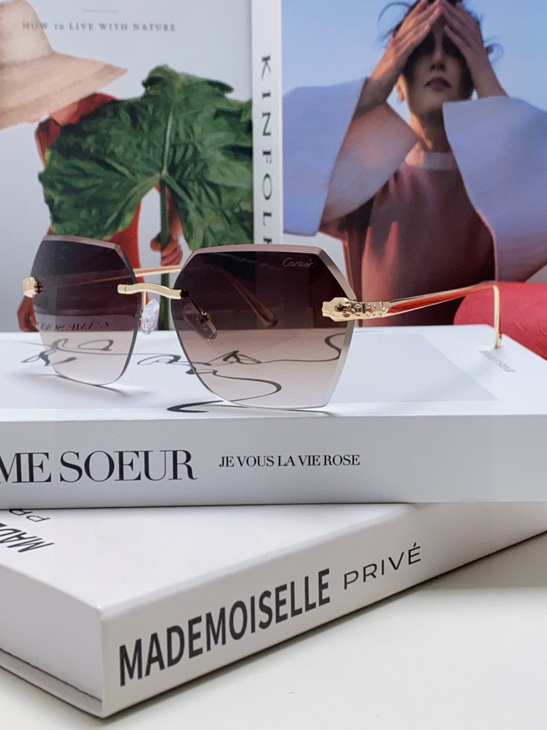 CARTIER PANTHÈRE RIMLESS GEOMETRIC FRAME SUNGLASSES  539743 IN METAL